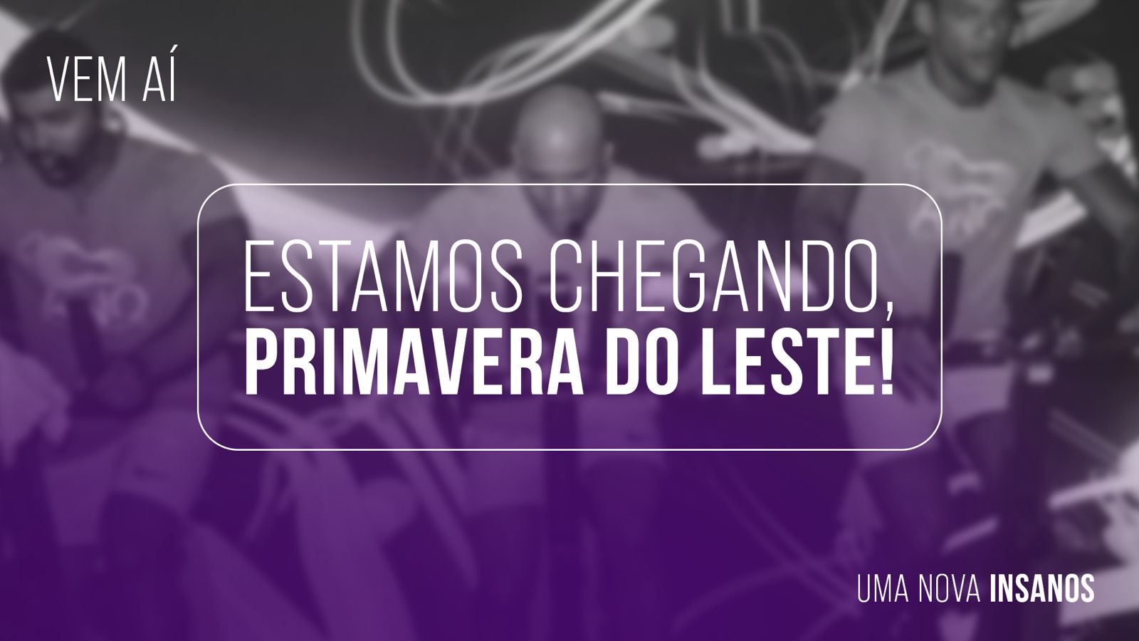 Studio Insanos
