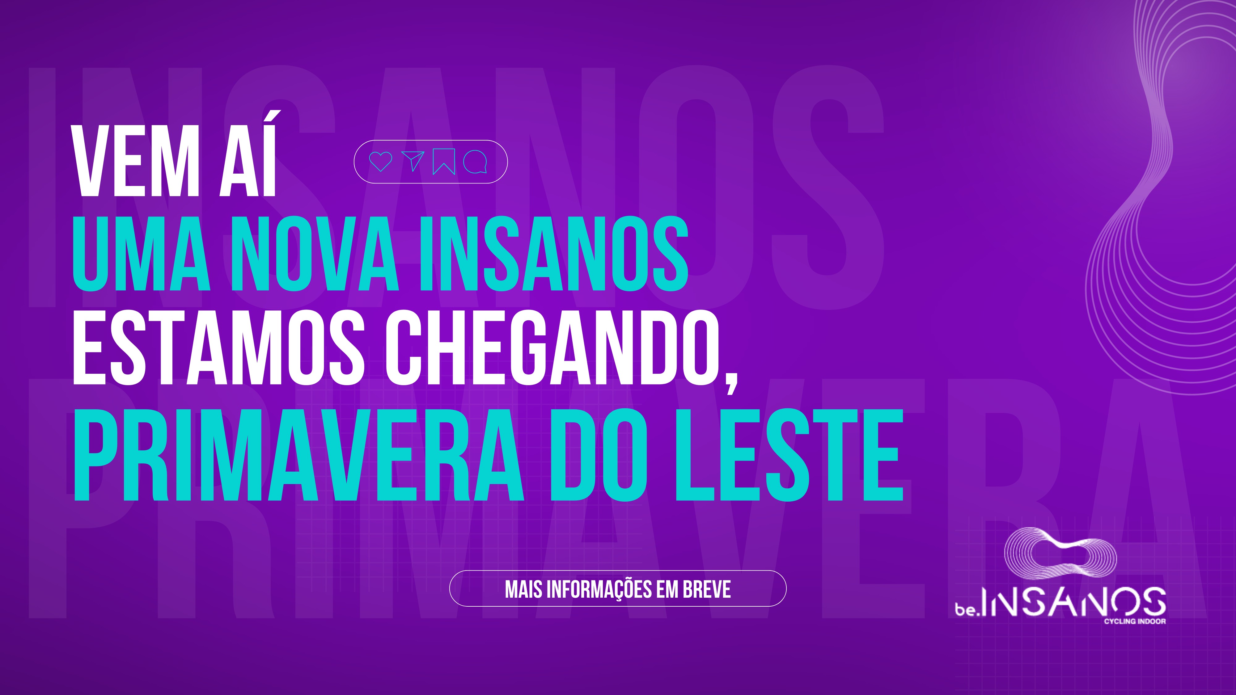 Studio Insanos