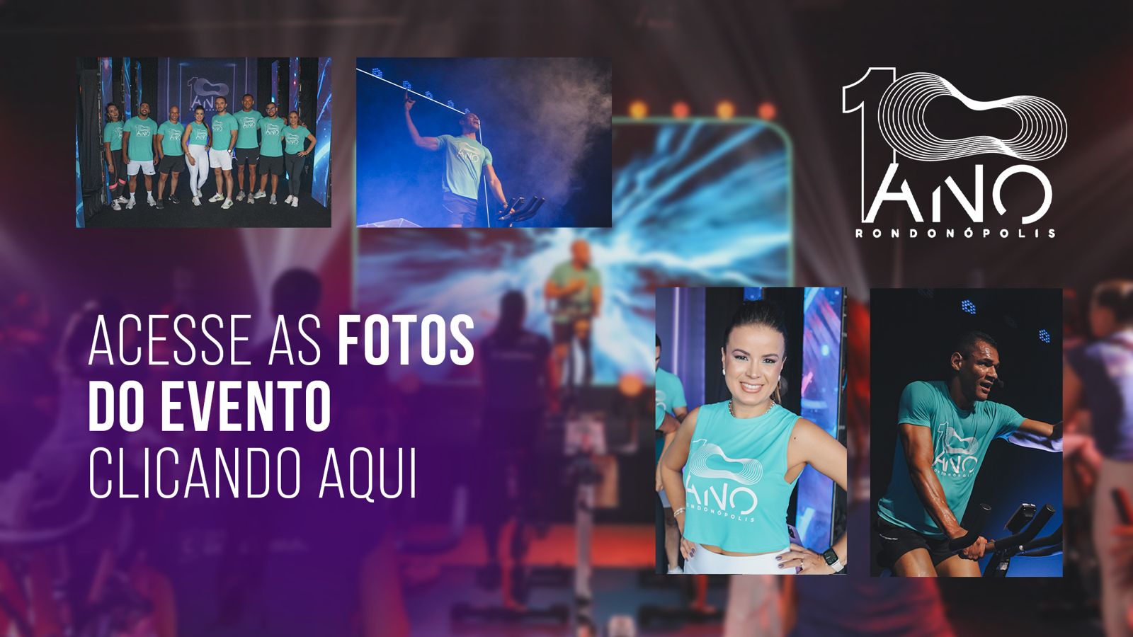 Studio Insanos