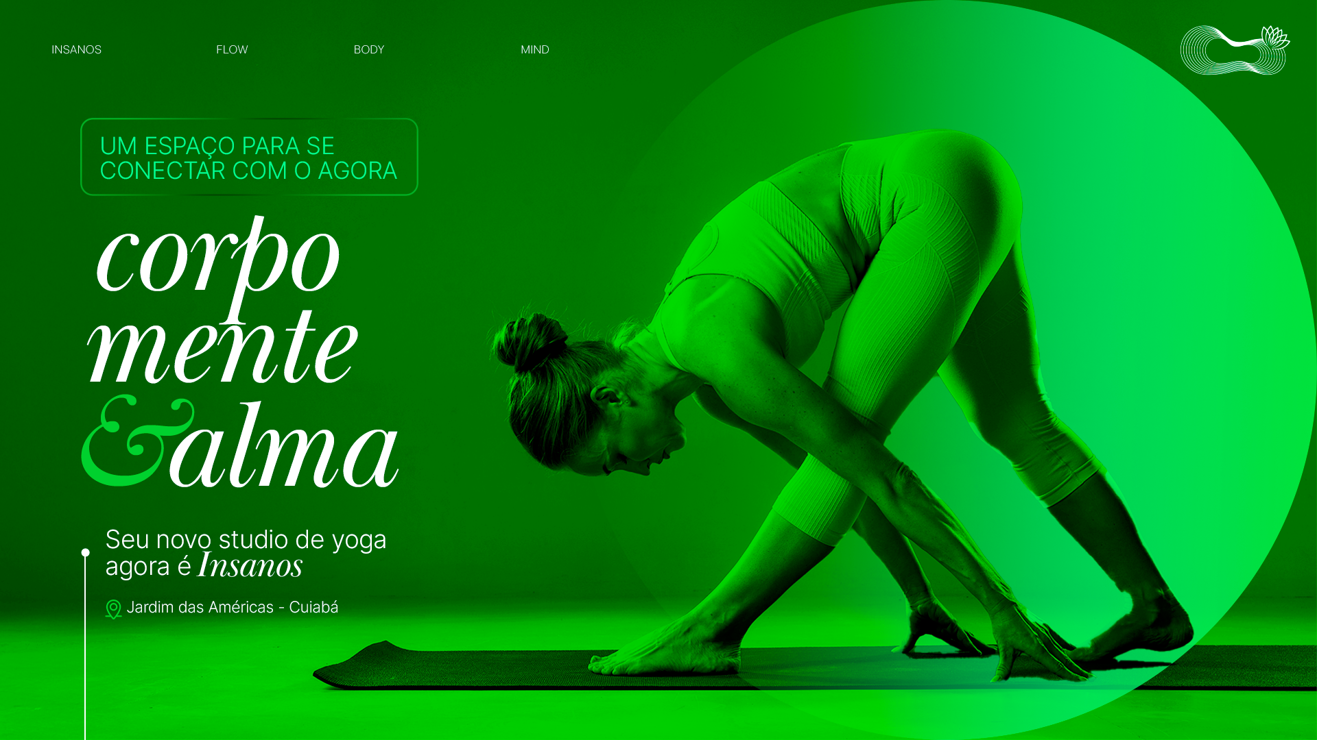 Studio Insanos
